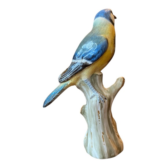 Antique 1700s - 1800s Meissen Eurasian Blue Tit Bird. Rare - Picture 7 of 13